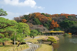 大池より見た紅葉